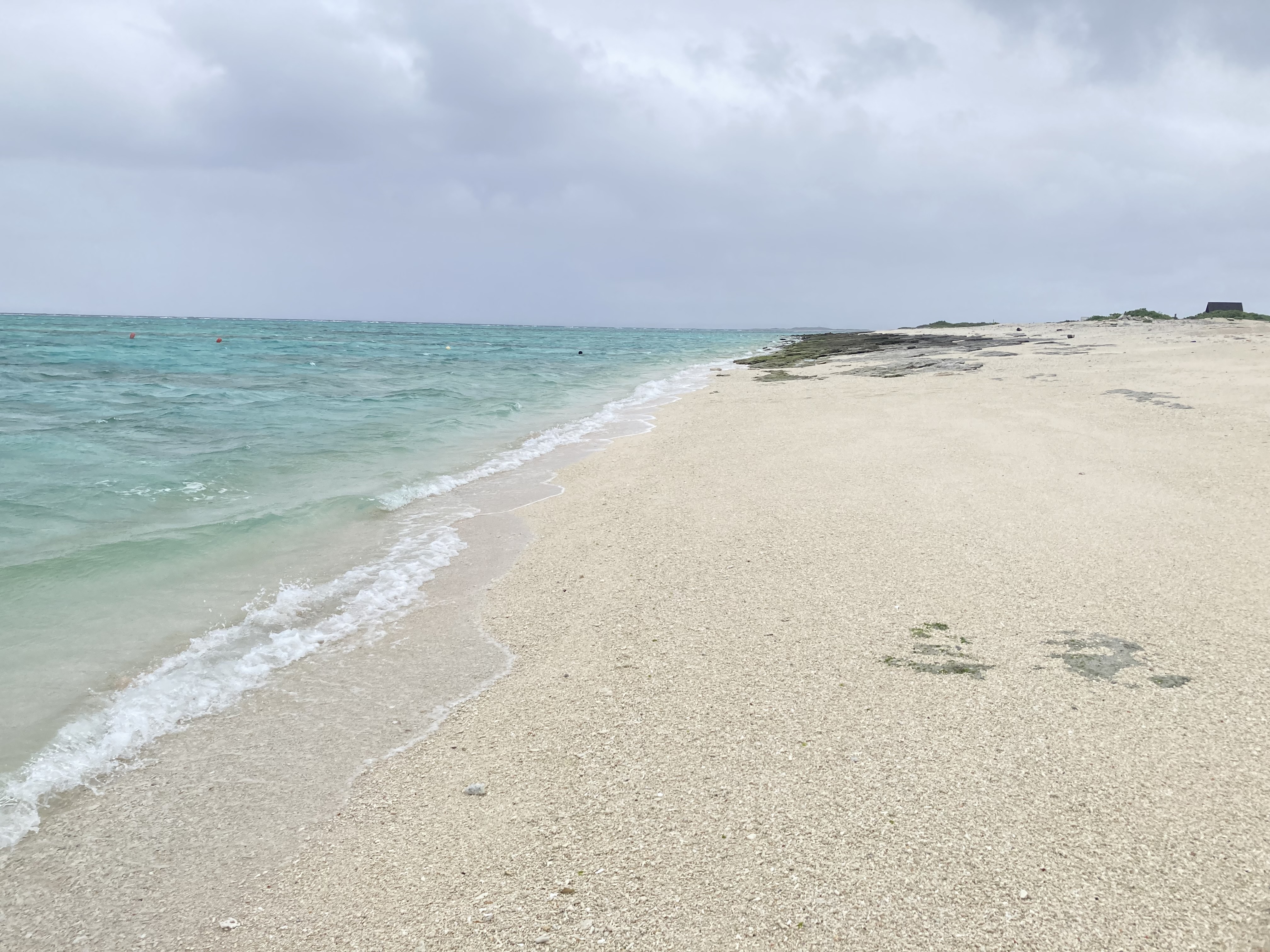 沖縄へ、自然信仰を感じるのんびり旅