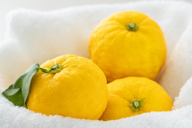 頑張り屋さんの心がしおれる理由—心の弾力を守るヒント